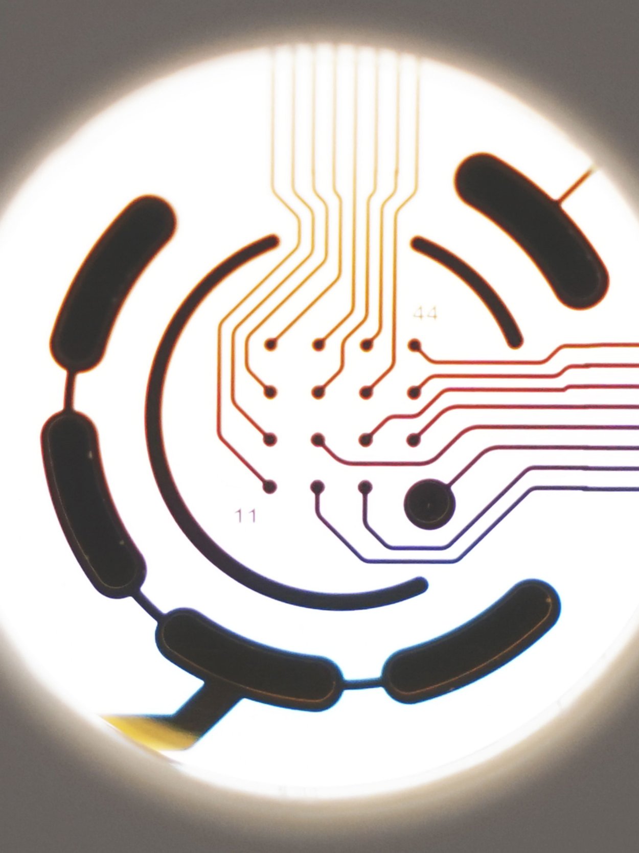 Mea axion biosystems
